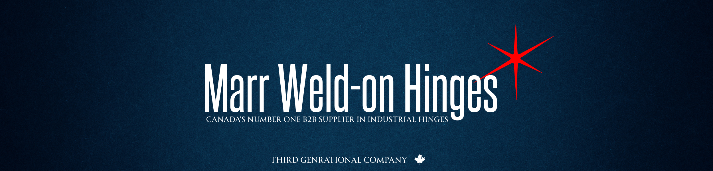Industrial Hinges Banner